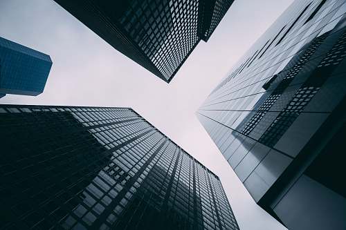 high rise low-angle photography of high-rise buildings office building